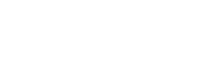 Digital Forrest